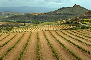 Type Prints: Castle overlooks vineyards along the San Vicente to Banos de Ebro Road in the La