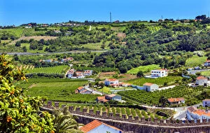 Portugal Collection: Castle Wals Countryside Farmland Medieval Town Obidos Portugal