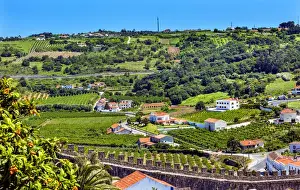 Portugal Prints: Castle Wals Countryside Farmland Medieval Town Obidos Portugal