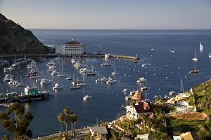 Images Dated 7th March 2009: The Catalina Casino and Avalon harbor on Catalina Island, California, USA