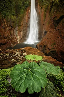 Images Dated 2nd January 2022: Catarata Del Toro Waterfall, in the mountains of Bajos del Toro Amarillo