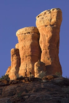 Images Dated 5th July 2005: Part of Cathedral Rock, Sedona, Arizona, USA