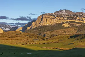 Ranching Prints: Cattle pastures below Walling Reef at sunrise near Dupuyer, Montana, USA