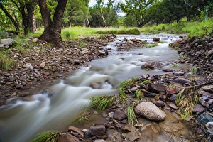 Cool Prints: Cave Creek flowing