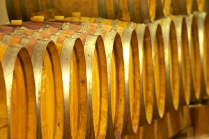 Images Dated 15th May 2004: Cave P et Andre Perret in Chavannay, making Condrieu, Saint Joseph, Cote Rotie. Oak