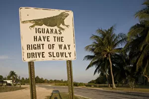 Images Dated 19th April 2007: Cayman Islands, Little Cayman Island, Iguana Crossing Sign along country road