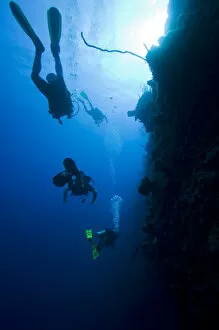 Images Dated 16th April 2007: Cayman Islands, Little Cayman Island, Scuba divers swimming along Bloody Bay Wall