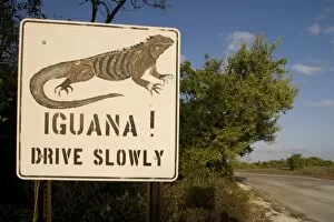 Images Dated 17th April 2007: Cayman Islands, Little Cayman Island, Iguana Crossing Sign along country road