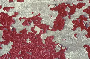 Images Dated 25th November 2016: A detail of a cement wall with peeling paint in the Roosevelt Sweater Mill
