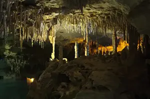 Images Dated 17th October 2009: Cenotes Freshwater-filled limestone sinkhole Quintana Roo Yucatan Peninsula