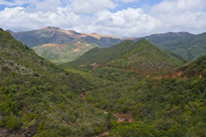 Grande Terre Prints: Center of Grande Terre, New Caledonia, Melanesia, South Pacific