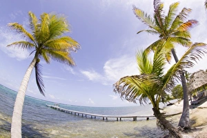 Images Dated 9th May 2004: Central America, Belize