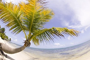 Central America, Belize