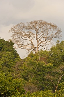 Images Dated 20th April 2009: Central America, Costa Rica