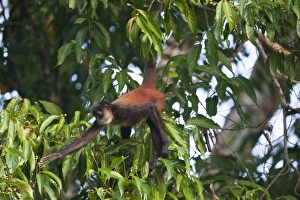 Central America, Costa Rica
