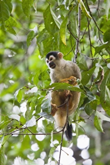 Central America, Costa Rica