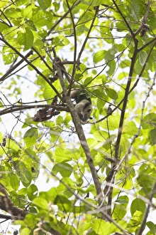 Central America, Costa Rica