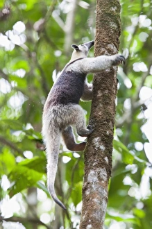 Central America, Costa Rica