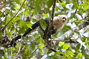 Central America, Costa Rica