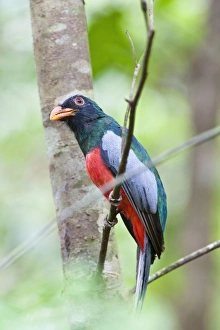 Central America, Costa Rica