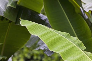 Central America, Costa Rica