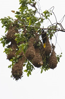 Central America, Costa Rica