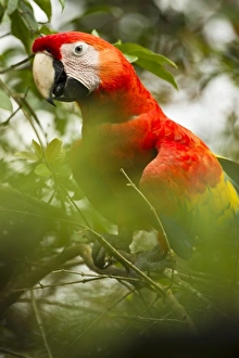 Central America, Costa Rica