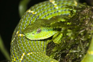 Central America, Costa Rica