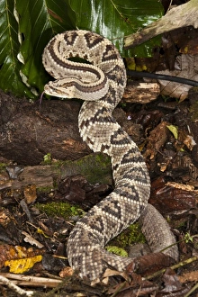 Central America, Costa Rica