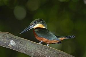 Central America, Costa Rica