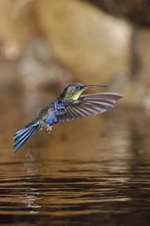 Central America, Costa Rica