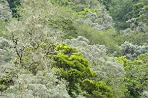 Images Dated 11th April 2004: Central America, Costa Rica