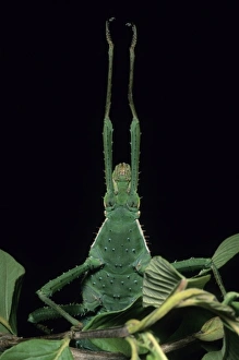 Central America, Costa Rica
