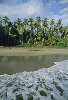 Images Dated 30th October 2008: Central America, Costa Rica