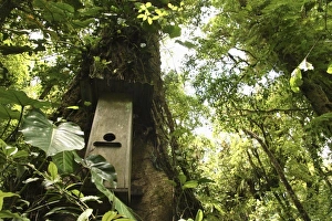 Images Dated 22nd March 2007: Central America, Costa Rica