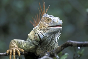 Central America, Costa Rica