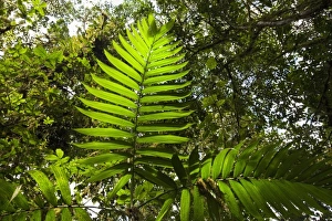 Central America, Costa Rica