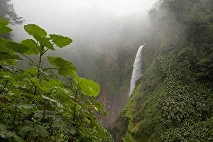 Images Dated 10th December 2010: Central America, Costa Rica