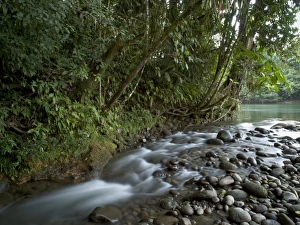 Images Dated 6th December 2007: Central America, Costa Rica