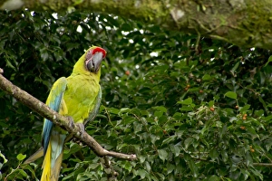 Central America, Costa Rica