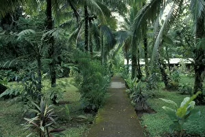 Central America, Costa Rica, Caribbean Coast. Lush gardens at the Tortuga Lodge
