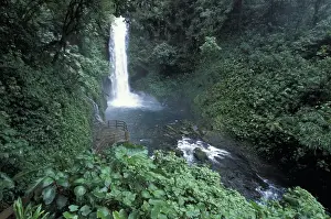 Central America, Costa Rica, La Paz Waterfall Gardens. Magia Blanca Falls along Rio