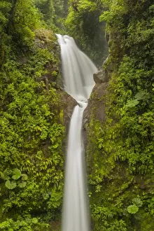 Central America Prints: Central America, Costa Rica, Monteverde Cloud Forest Biological Reserve