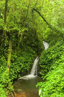 Costa Rica Collection: Central America, Costa Rica. Monteverde waterfall