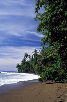Foam Prints: Central America, Costa Rica, Osa Penin, Corcovado National Park. Palm-lined beach