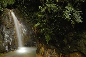 Images Dated 30th July 2006: Central America, Ecuador