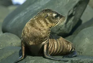 Central America, Ecuador