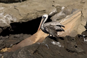 Central America, Ecuador