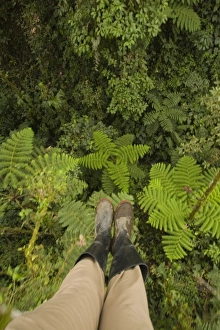 Images Dated 5th April 2007: Central America, Ecuador