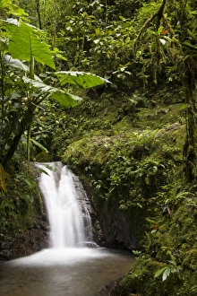 Images Dated 4th April 2007: Central America, Ecuador